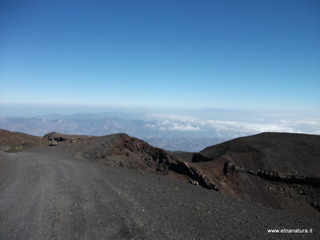 nte Pizzillo-21-10-2012 11-03-10